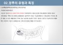 장루의 유형, 장루간호 합병증,장루간호절차성인간호실습주제발표 7페이지
