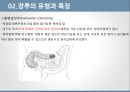 장루의 유형, 장루간호 합병증,장루간호절차성인간호실습주제발표 8페이지