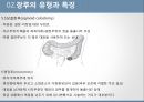 장루의 유형, 장루간호 합병증,장루간호절차성인간호실습주제발표 10페이지