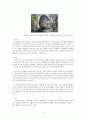 충청북도 음성군의 전설 6페이지