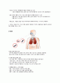 아동간호실습CASE - Pneumonia [A+자료입니다!!] 4페이지