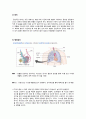 아동간호실습CASE [NICU - TTN] A+자료입니다!! 4페이지