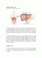 성인간호실습CASE [HCC] A+받은 자료입니다!! 4페이지