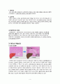 성인간호실습CASE [HCC] A+받은 자료입니다!! 6페이지