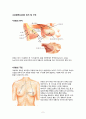 성인간호실습CASE [Breast cancer] A+받은 자료입니다!! 4페이지