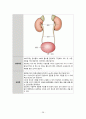 성인간호실습CASE [Breast cancer] A+받은 자료입니다!! 30페이지