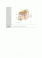 성인간호실습CASE [ICH] A+받은 자료입니다!! 18페이지