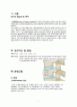 성인간호실습CASE[Lumbar Fx] A+받은 자료입니다!! 3페이지