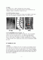 성인간호실습CASE[Lumbar Fx] A+받은 자료입니다!! 8페이지