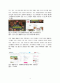 빕스 VIPS 기업분석,SWOT분석및 빕스 마케팅전략 분석과 빕스 미래전략제언 13페이지