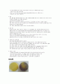 미생물배양및 측정 4페이지