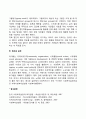 사회복지실천의 수준 2페이지