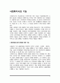 사회복지사의 기능 2페이지