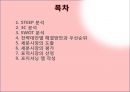마케팅전략-장수돌침대 2페이지