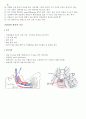 응급 kit약물, cardioversion or defibrillator, intubation, CPR 15페이지