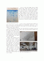 미학 - 세상에서 가장 아름다운 것 2페이지