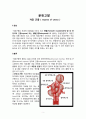 모성간호A+ [자궁근종(myoma of uterus)-간호과정(case study)] 2페이지