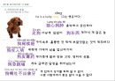 현대 중국어 단어의미 17페이지