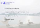 행정사례분석 - 제주 올레길을 통해 본 부산 갈맷길의 활성화 방안 33페이지