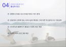 행정사례분석 - 제주 올레길을 통해 본 부산 갈맷길의 활성화 방안 38페이지