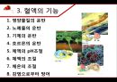 혈액 - 구성과 종류, 기능, 혈관, 순환, 혈액형, 질병, 헌혈 10페이지