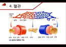 혈액 - 구성과 종류, 기능, 혈관, 순환, 혈액형, 질병, 헌혈 12페이지