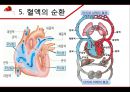 혈액 - 구성과 종류, 기능, 혈관, 순환, 혈액형, 질병, 헌혈 14페이지