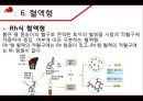 혈액 - 구성과 종류, 기능, 혈관, 순환, 혈액형, 질병, 헌혈 16페이지