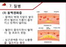 혈액 - 구성과 종류, 기능, 혈관, 순환, 혈액형, 질병, 헌혈 19페이지
