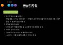 [지적재산권] 디자인 법 14페이지