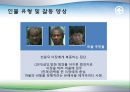 [한국 현대문학의 이해] 영화 ‘이끼’ 분석 10페이지