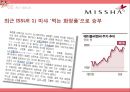 MISSHA 미샤 [기업소개, 외부환경 내부환경 분석, 핵심 역량 분석, 마케팅 전략, 전망] 35페이지