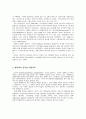 [비교발전행정론] 벨기에의 발전전략과 행정개혁 9페이지