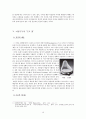 아름다움이란 무엇인가 - 굽이 있는 여성구두의 美에 대한 고찰 - 16페이지