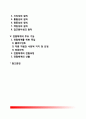 사회복지서비스 전달체계 2페이지