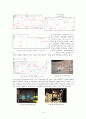 [전시비평] 2004 광주비엔날레 - 먼지 한 톨 물 한 방울 4페이지