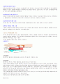 말기신장질환 문헌고찰 8페이지