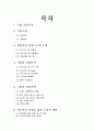 [중소기업 경영론] 아이코닉스 2페이지