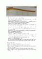 [간호학] Oxitocine (옥시토신) 4페이지