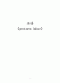 [간호학] 조산 (preterm labor) 1페이지