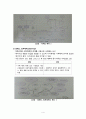 [간호학] 가족사정도구 4페이지