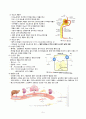 [간호학] 비뇨기계 구조와 기능 5페이지