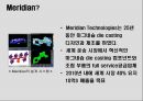 MERIAN MAGNESIUM - International Technology Transfer 4페이지