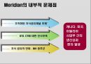 MERIAN MAGNESIUM - International Technology Transfer 10페이지