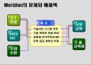 MERIAN MAGNESIUM - International Technology Transfer 23페이지
