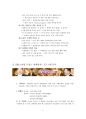TV 방송언어의 문제점 7페이지
