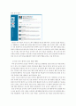 SNS의 마케팅에의 활용과 관련 활용방안에 관한 연구 8페이지