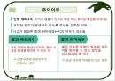 간호사의 법적 지위 및 의무 12페이지