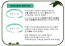 간호사의 법적 지위 및 의무 13페이지