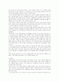 바람직한 한류의 미래상 - 김치 4페이지